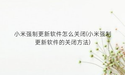 “小米强制更新软件怎么关闭(小米强制更新软件的关闭方法)
