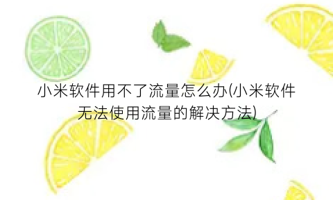 “小米软件用不了流量怎么办(小米软件无法使用流量的解决方法)