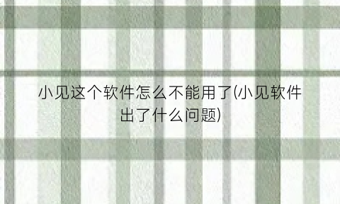 小见这个软件怎么不能用了(小见软件出了什么问题)