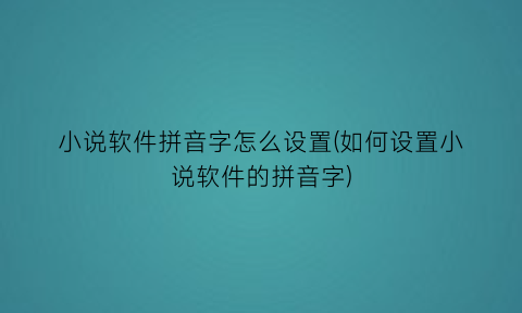 小说软件拼音字怎么设置(如何设置小说软件的拼音字)