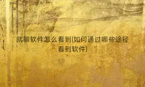 “就聊软件怎么看到(如何通过哪些途径看到软件)
