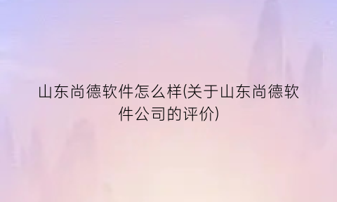 山东尚德软件怎么样(关于山东尚德软件公司的评价)