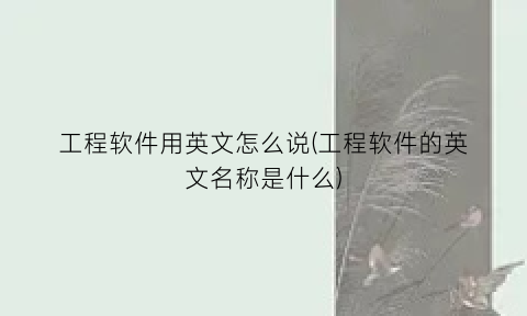 “工程软件用英文怎么说(工程软件的英文名称是什么)