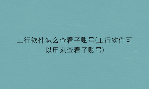 工行软件怎么查看子账号(工行软件可以用来查看子账号)