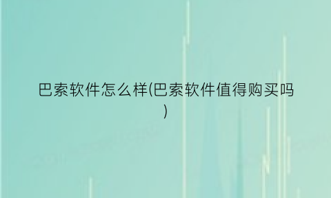 巴索软件怎么样(巴索软件值得购买吗)