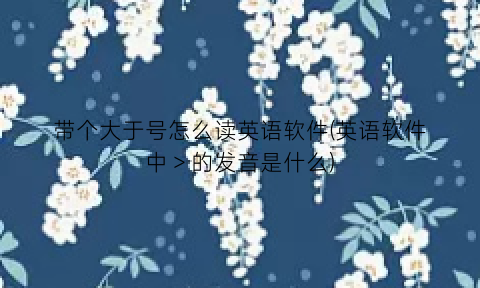 “带个大于号怎么读英语软件(英语软件中＞的发音是什么)