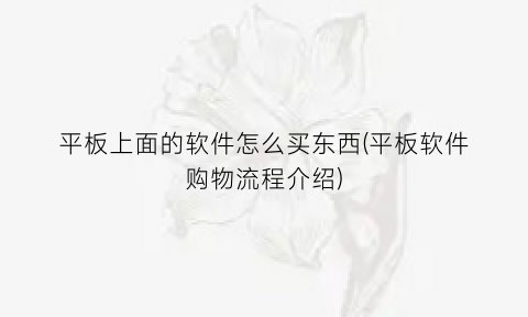 “平板上面的软件怎么买东西(平板软件购物流程介绍)