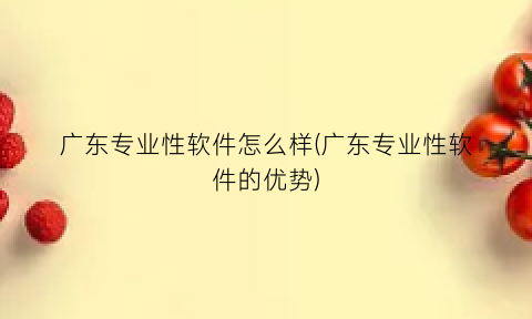 广东专业性软件怎么样(广东专业性软件的优势)