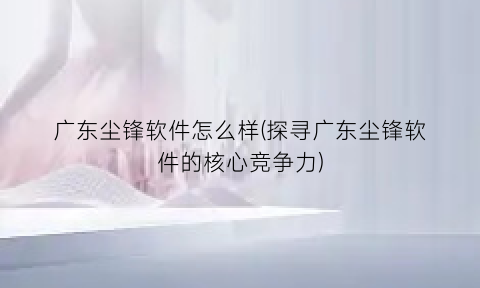 广东尘锋软件怎么样(探寻广东尘锋软件的核心竞争力)