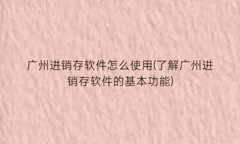 “广州进销存软件怎么使用(了解广州进销存软件的基本功能)