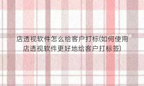 店透视软件怎么给客户打标(如何使用店透视软件更好地给客户打标签)