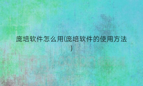 庞培软件怎么用(庞培软件的使用方法)