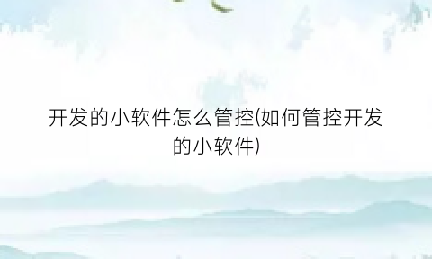 “开发的小软件怎么管控(如何管控开发的小软件)