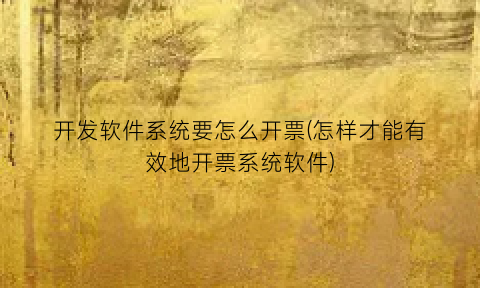 “开发软件系统要怎么开票(怎样才能有效地开票系统软件)