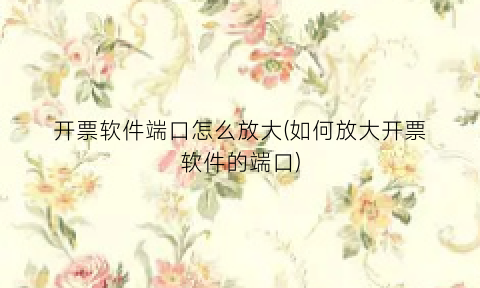 开票软件端口怎么放大(如何放大开票软件的端口)