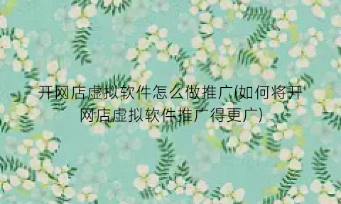 “开网店虚拟软件怎么做推广(如何将开网店虚拟软件推广得更广)