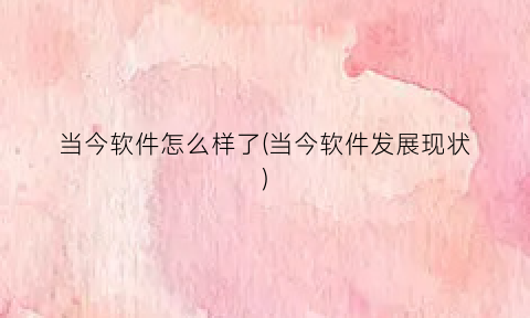 “当今软件怎么样了(当今软件发展现状)