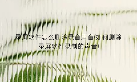 录屏软件怎么删除录音声音(如何删除录屏软件录制的声音)