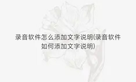 录音软件怎么添加文字说明(录音软件如何添加文字说明)