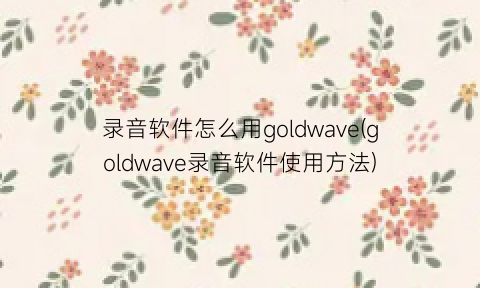 录音软件怎么用goldwave(goldwave录音软件使用方法)