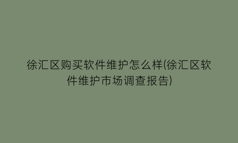 “徐汇区购买软件维护怎么样(徐汇区软件维护市场调查报告)