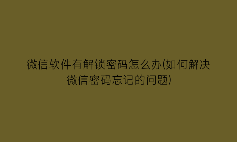 “微信软件有解锁密码怎么办(如何解决微信密码忘记的问题)