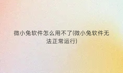 微小兔软件怎么用不了(微小兔软件无法正常运行)