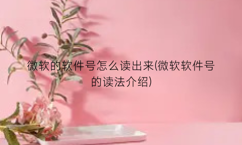 “微软的软件号怎么读出来(微软软件号的读法介绍)