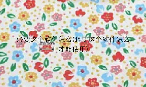 “必要这个软件怎么(必要这个软件怎么才能使用)