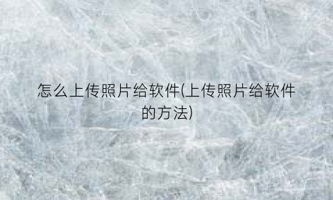 “怎么上传照片给软件(上传照片给软件的方法)