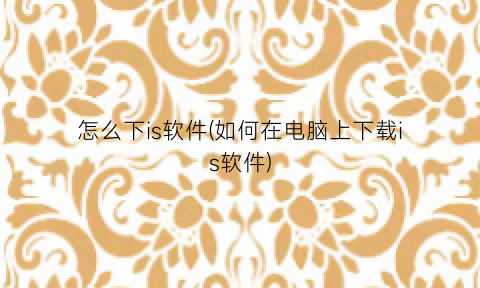 “怎么下is软件(如何在电脑上下载is软件)