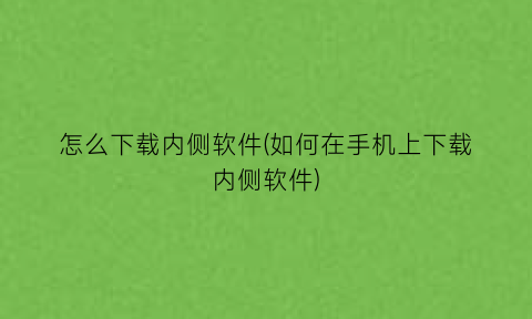 怎么下载内侧软件(如何在手机上下载内侧软件)