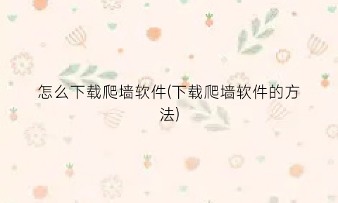 怎么下载爬墙软件(下载爬墙软件的方法)