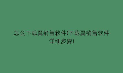 怎么下载翼销售软件(下载翼销售软件详细步骤)