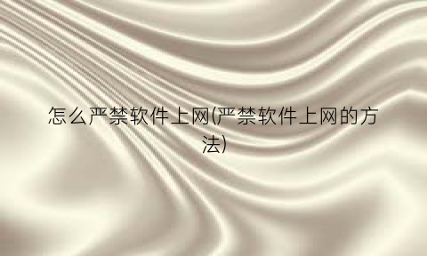 “怎么严禁软件上网(严禁软件上网的方法)