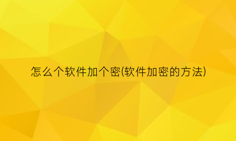 “怎么个软件加个密(软件加密的方法)