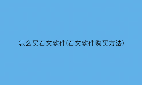 怎么买石文软件(石文软件购买方法)