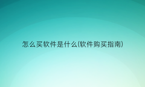 怎么买软件是什么(软件购买指南)