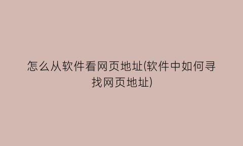 怎么从软件看网页地址(软件中如何寻找网页地址)