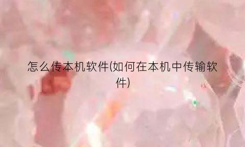 怎么传本机软件(如何在本机中传输软件)