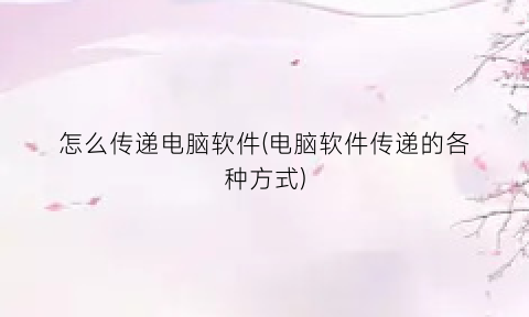 “怎么传递电脑软件(电脑软件传递的各种方式)