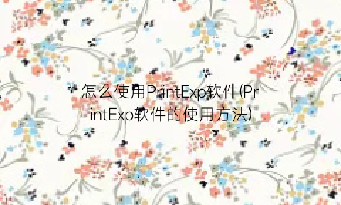 “怎么使用PrintExp软件(PrintExp软件的使用方法)