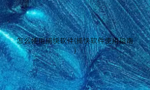 怎么使用捕快软件(捕快软件使用指南)