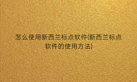 怎么使用新西兰标点软件(新西兰标点软件的使用方法)