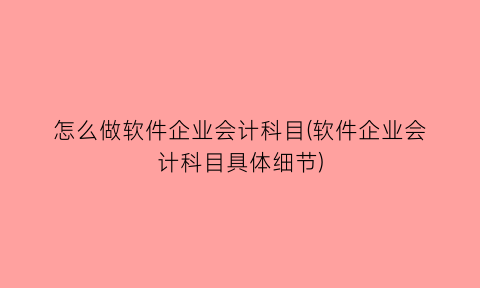 怎么做软件企业会计科目(软件企业会计科目具体细节)