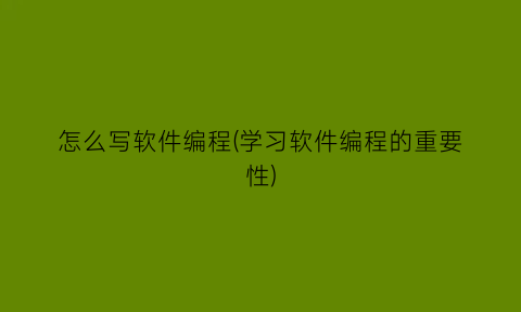 “怎么写软件编程(学习软件编程的重要性)