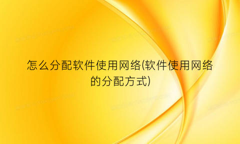 怎么分配软件使用网络(软件使用网络的分配方式)