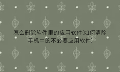 怎么删除软件里的应用软件(如何清除手机中的不必要应用软件)