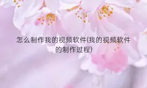 怎么制作我的视频软件(我的视频软件的制作过程)