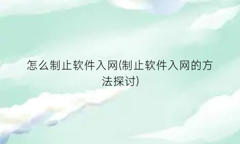 怎么制止软件入网(制止软件入网的方法探讨)